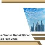 Why Startups Choose Dubai Silicon Oasis Free Zone